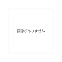Otsumami (Finger Food) - Cheese [17g]