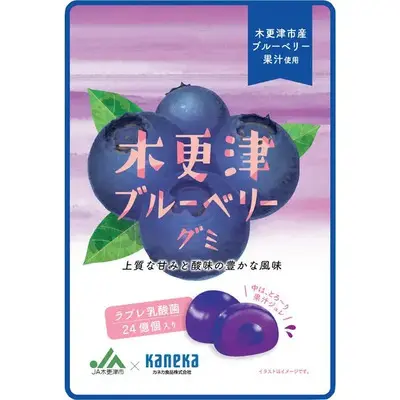 Kaneka Shokuhin Luxurious Fruits Gummy - Kisarazu Blueberry